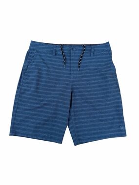 Hang Ten Navy and Light Blue Striped Men's Shorts